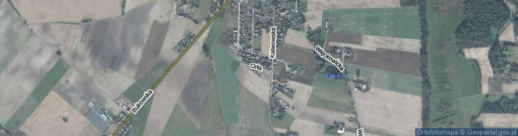 Zdjęcie satelitarne Orła ul.